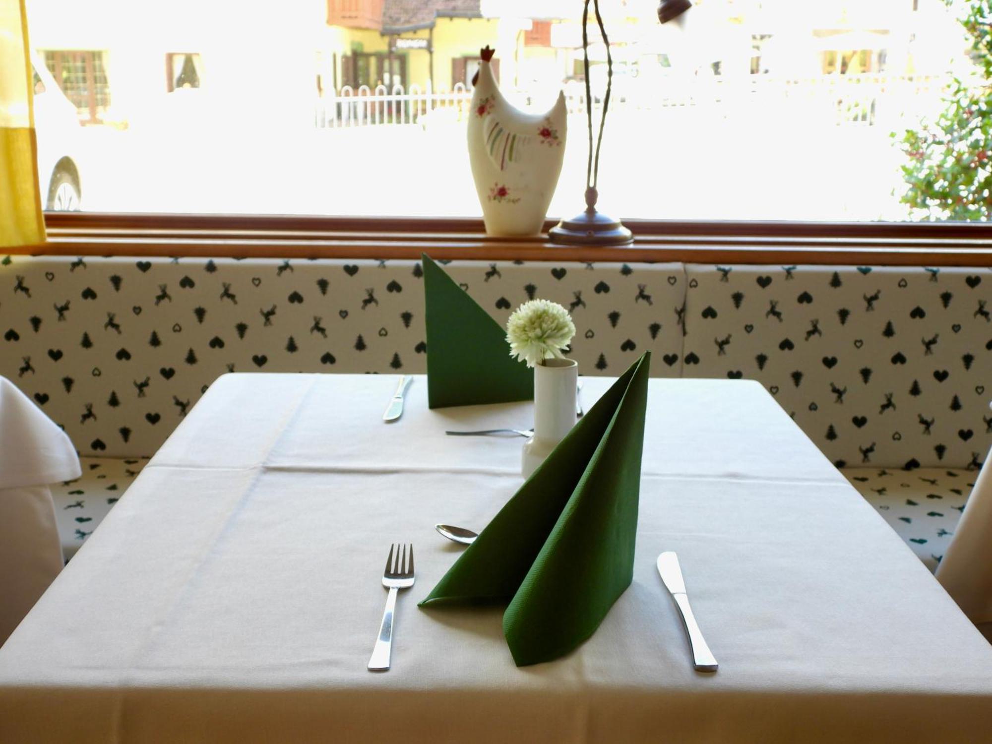 Hotel Garni Maffei ピンツォーロ エクステリア 写真
